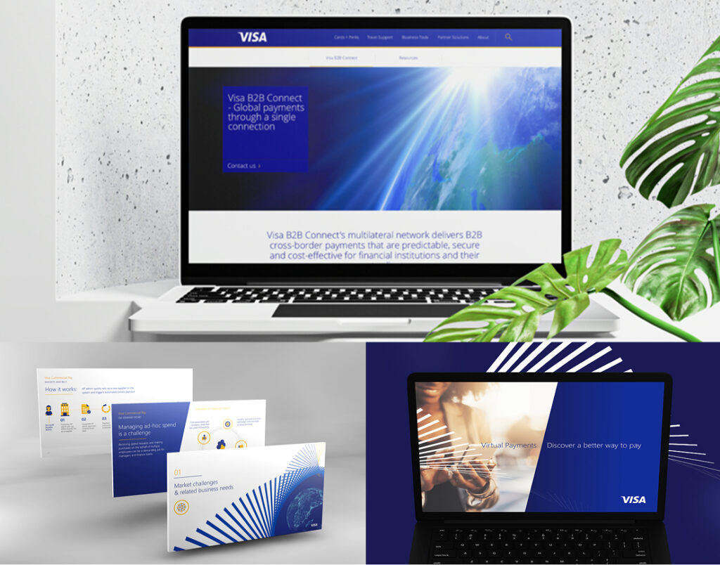 Visa Asset Collection